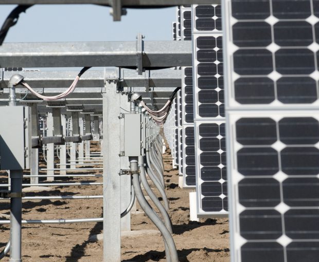Solar-Farm-Cables