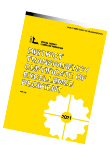 SDLF Transparency Cling 2021
